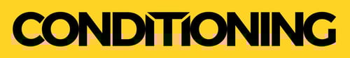 CONDITIONING SERVICE LOGO  LONG