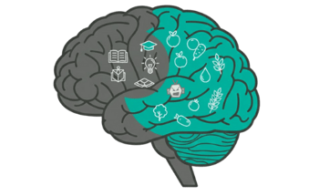 DRXVE COMP Nutrition Method Small